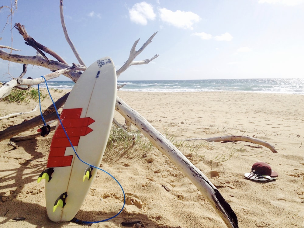 낮 동안 해변 해안에서 흰색과 빨간색 서핑 보드