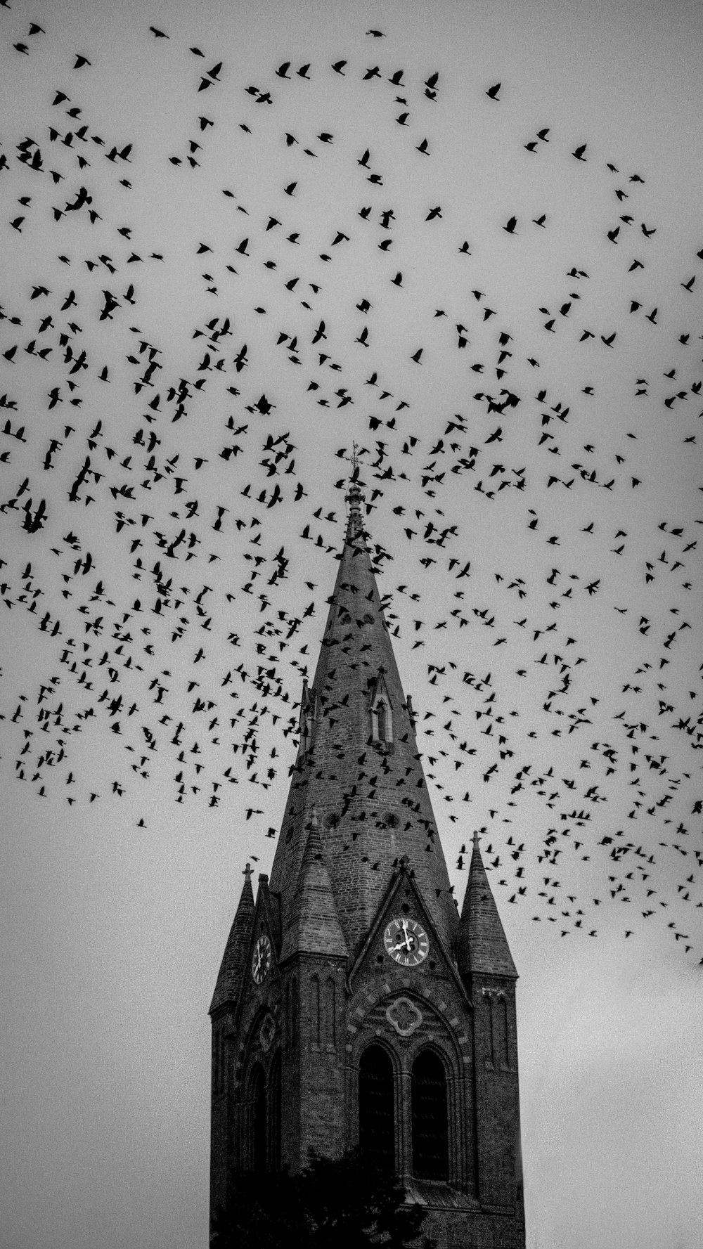 Foto en escala de grises de la catedral bajo los pájaros