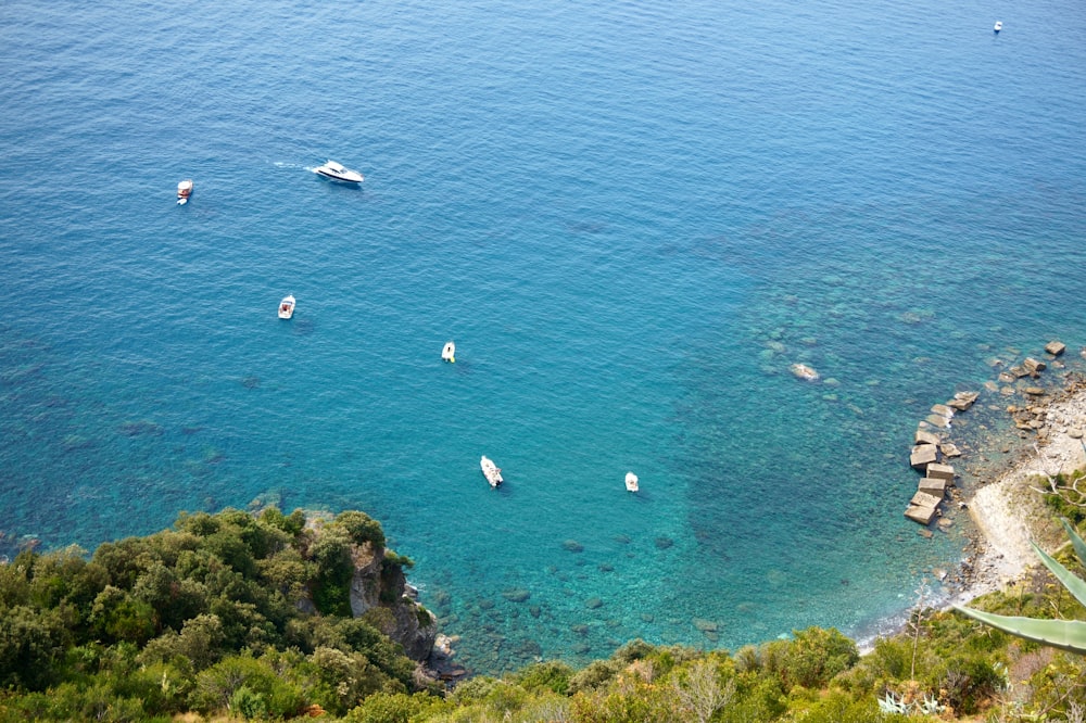 aerial view of white boats on sea during daytime