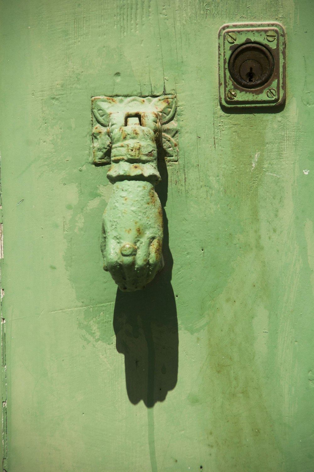 White And Black Animal Head Wall Decor Photo Free Green Image On Unsplash