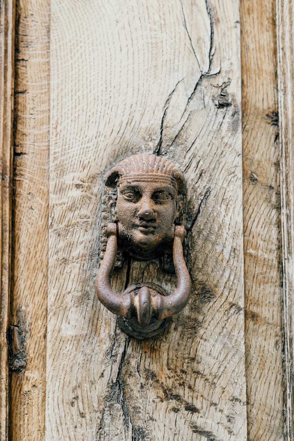 porta de madeira marrom com puxador da porta do leão