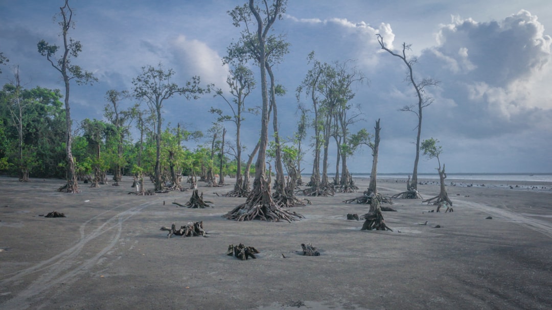 Natural landscape photo spot Kuakata Sea Beach Bangladesh