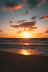 Errands, Beach House Opening, Beach House Closing, Shopping, Care Giver, Concierge