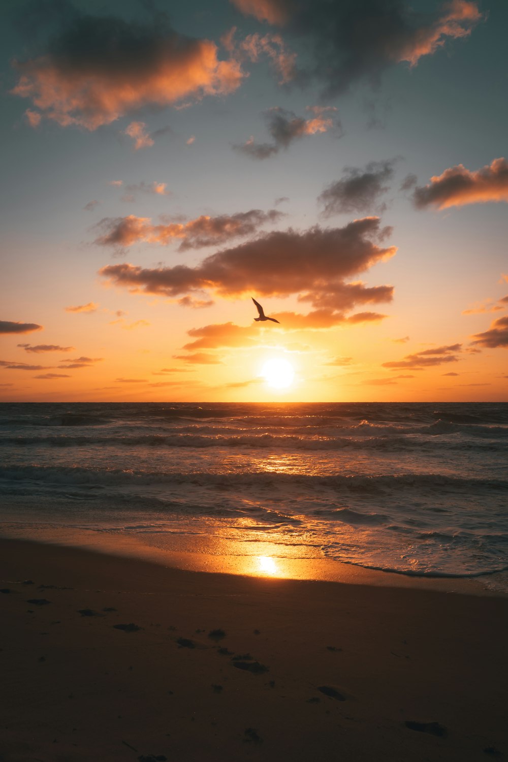 夕暮れ時に海の上を飛ぶ鳥たち