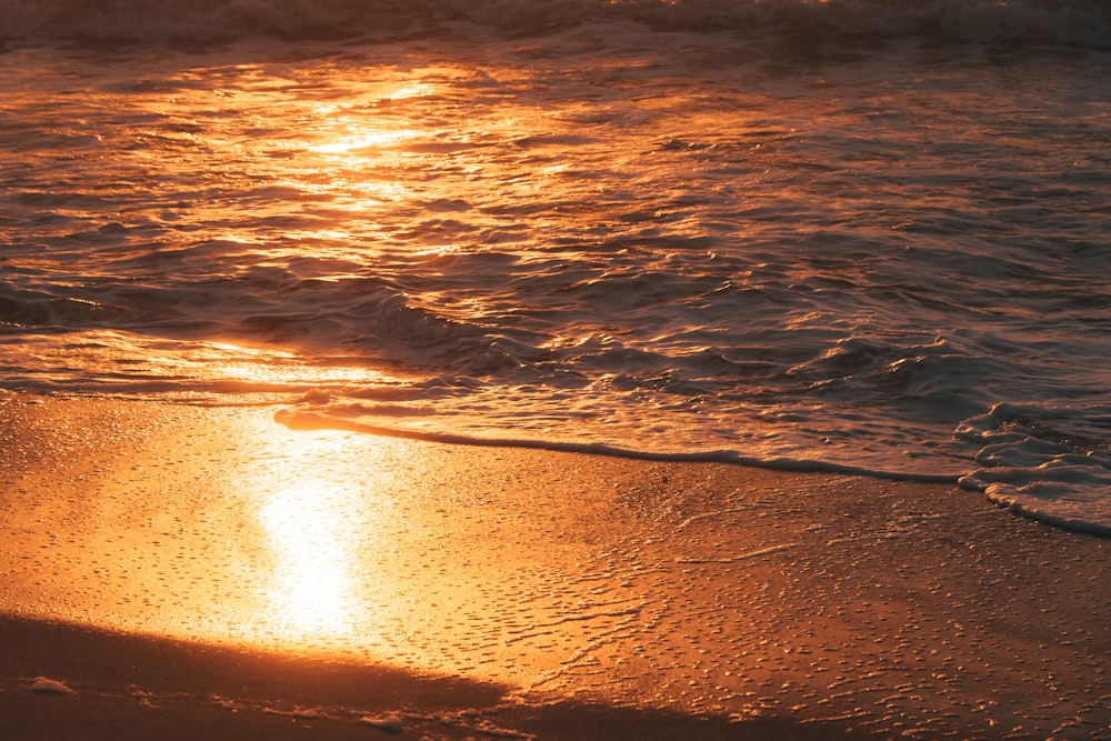 body of water during sunset