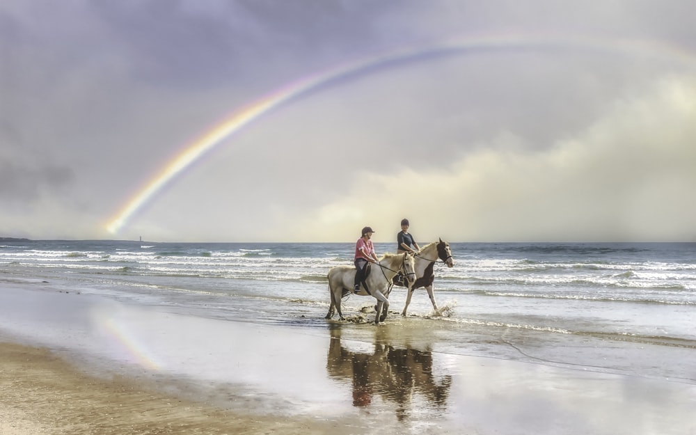 2 men riding horses on beach during daytime