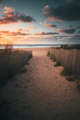 brown wooden fence on brown sand near body of water during daytime