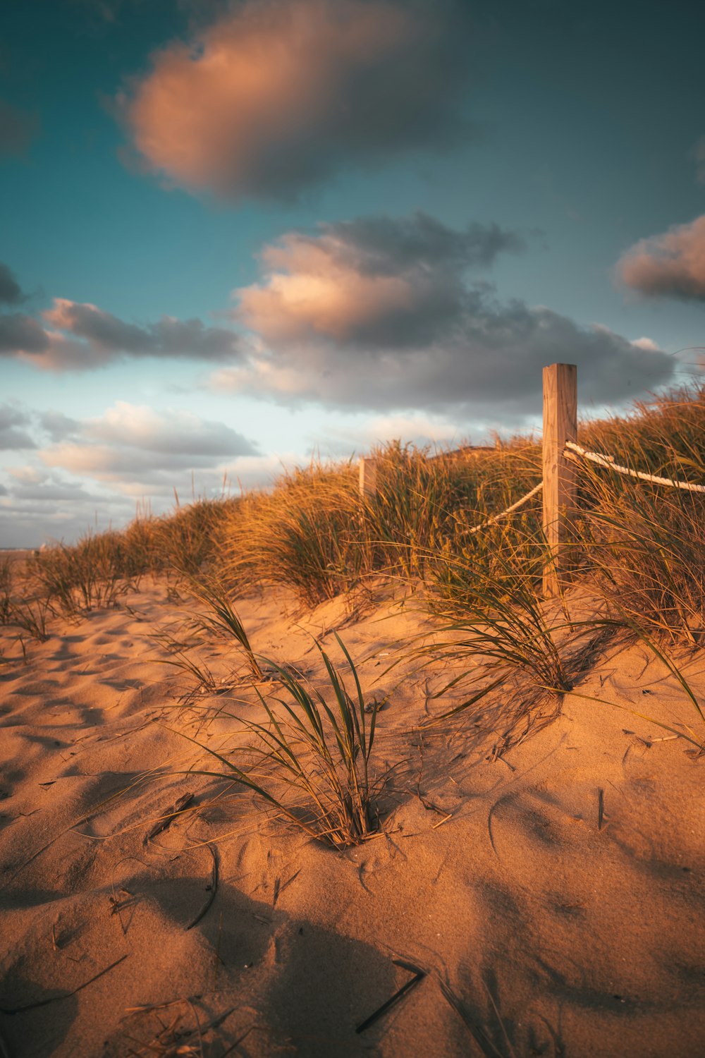 brown wooden post on brown sand under blue sky during daytime