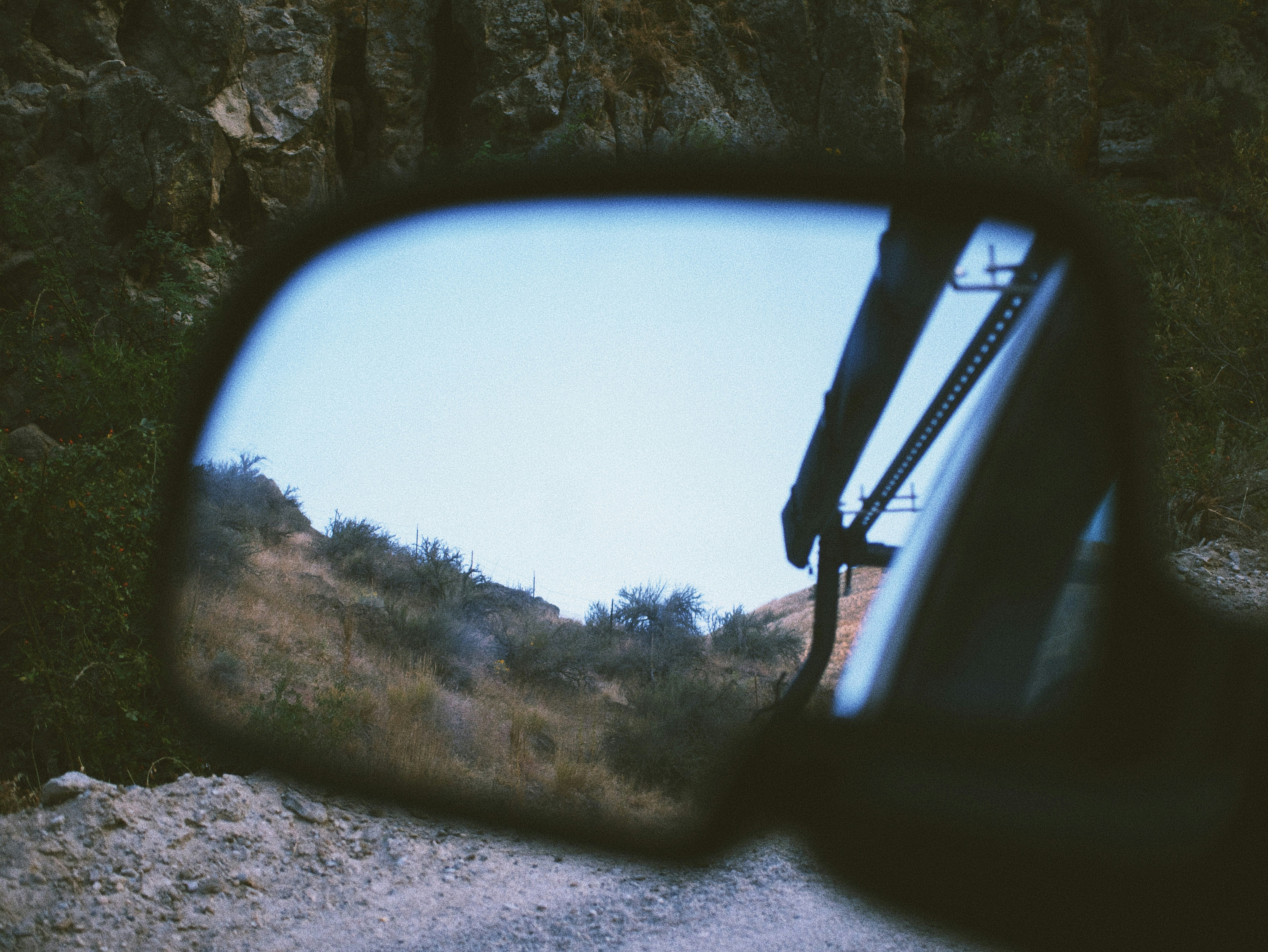 specchietto laterale dell'auto che mostra alberi verdi durante il giorno