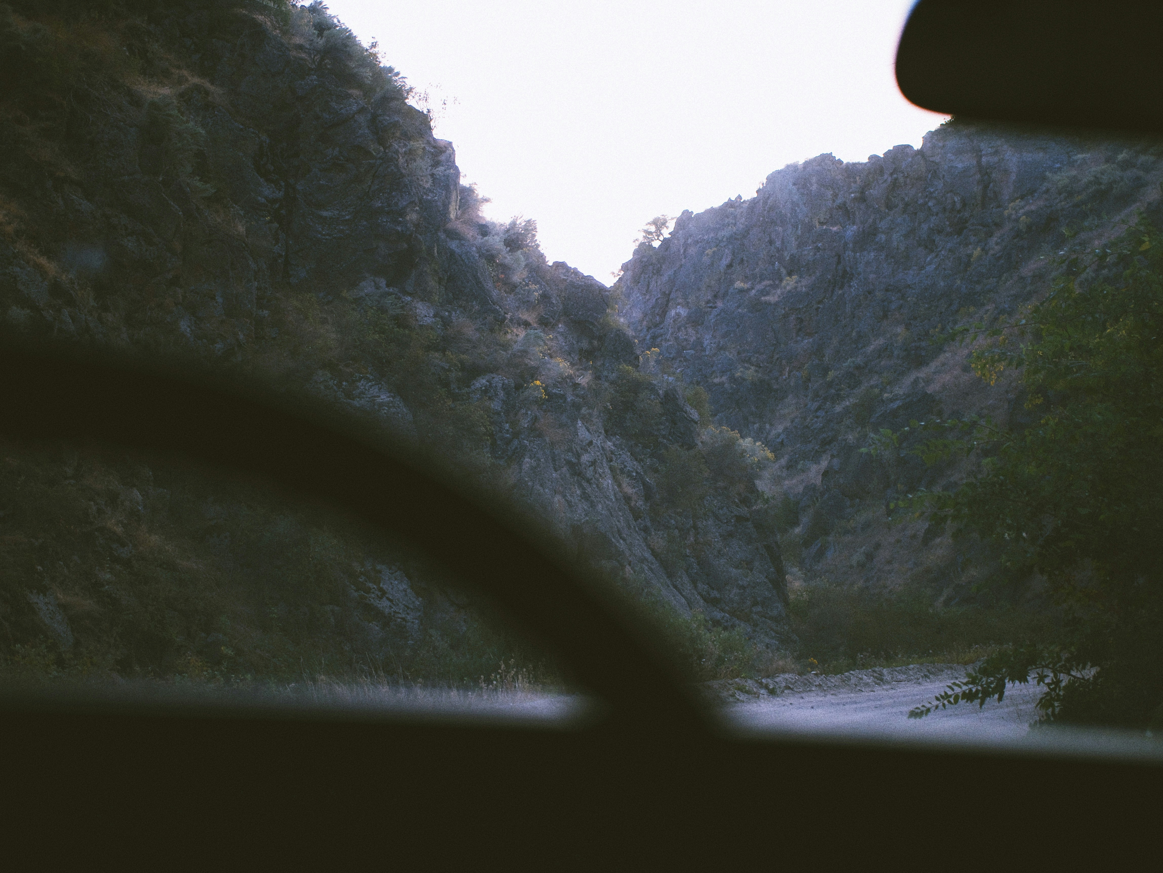 alberi verdi sulla montagna durante il giorno
