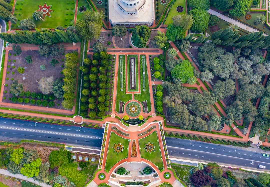 brown and green cross surrounded by green plants