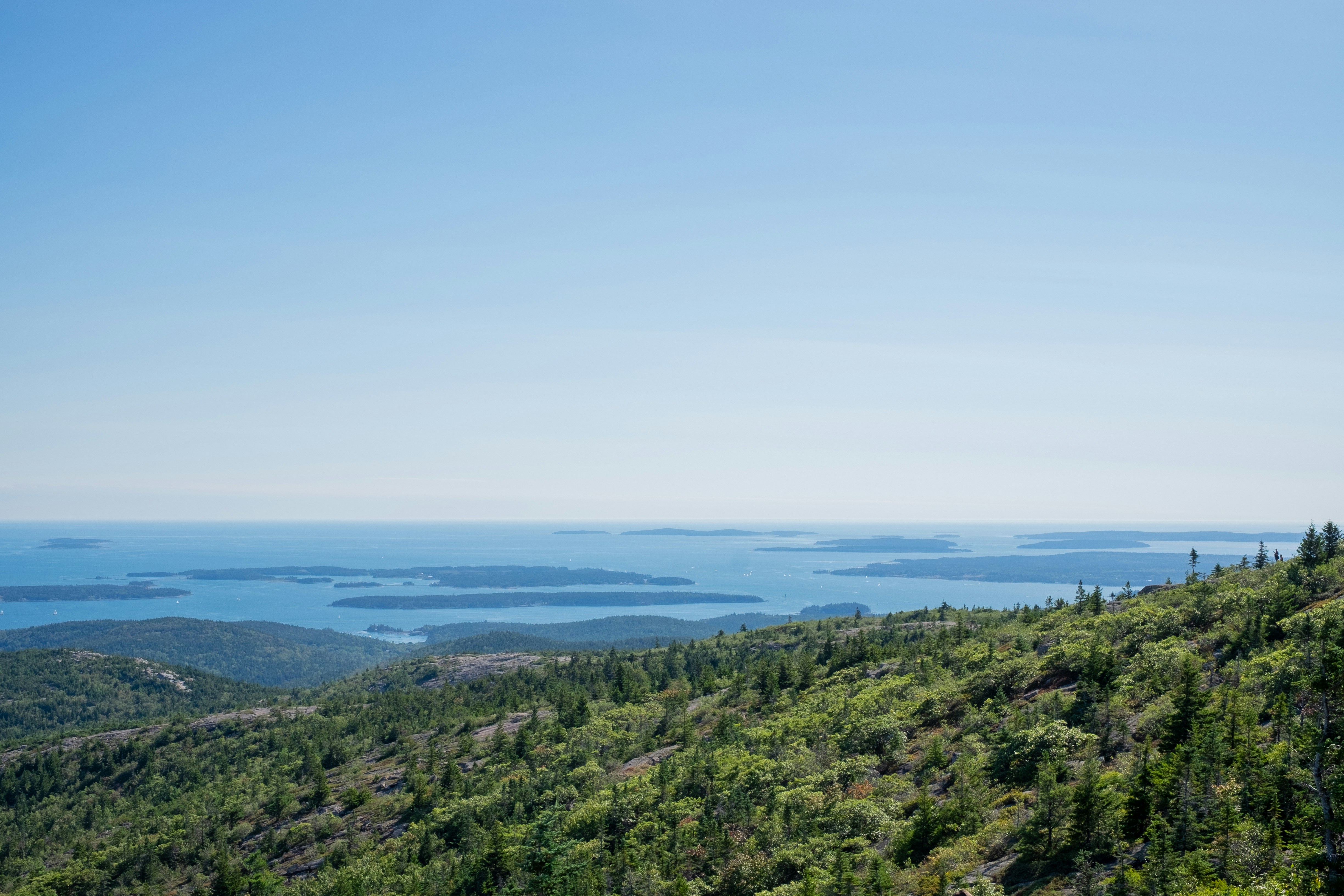 green grass field near body of water during daytime.
5 Uncharted Islands of Maine: Your Ultimate Local’s Guide
