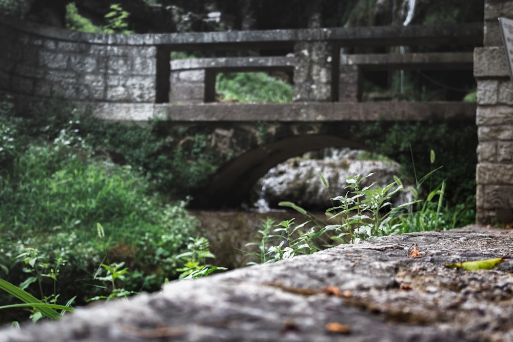 brown wooden bridge over river