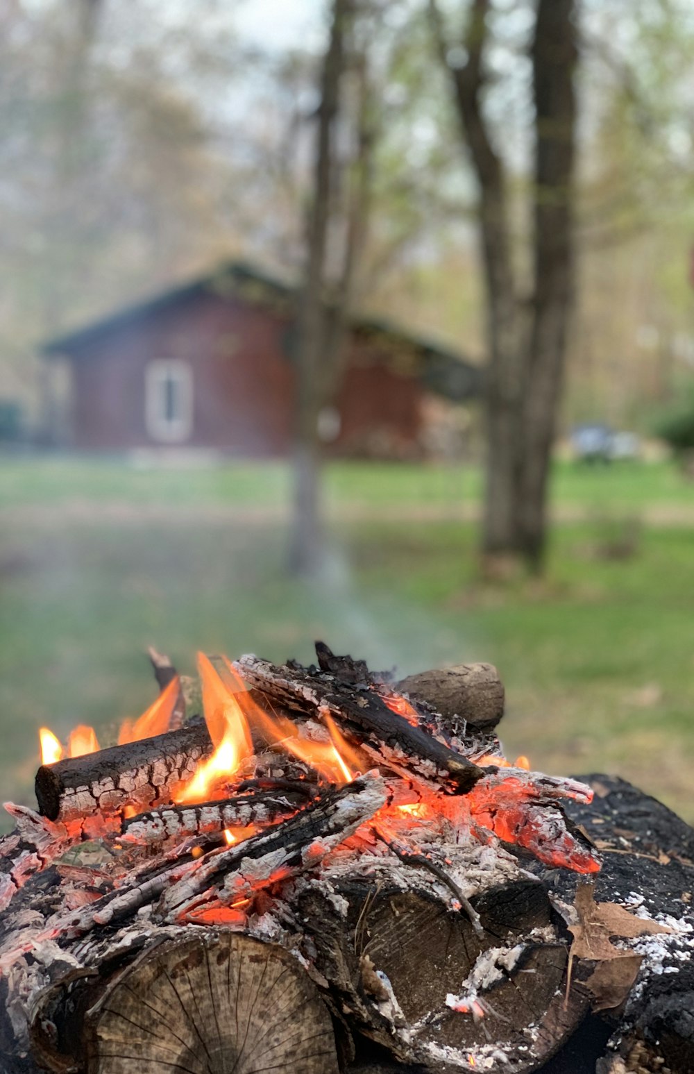 burning wood on fire pit