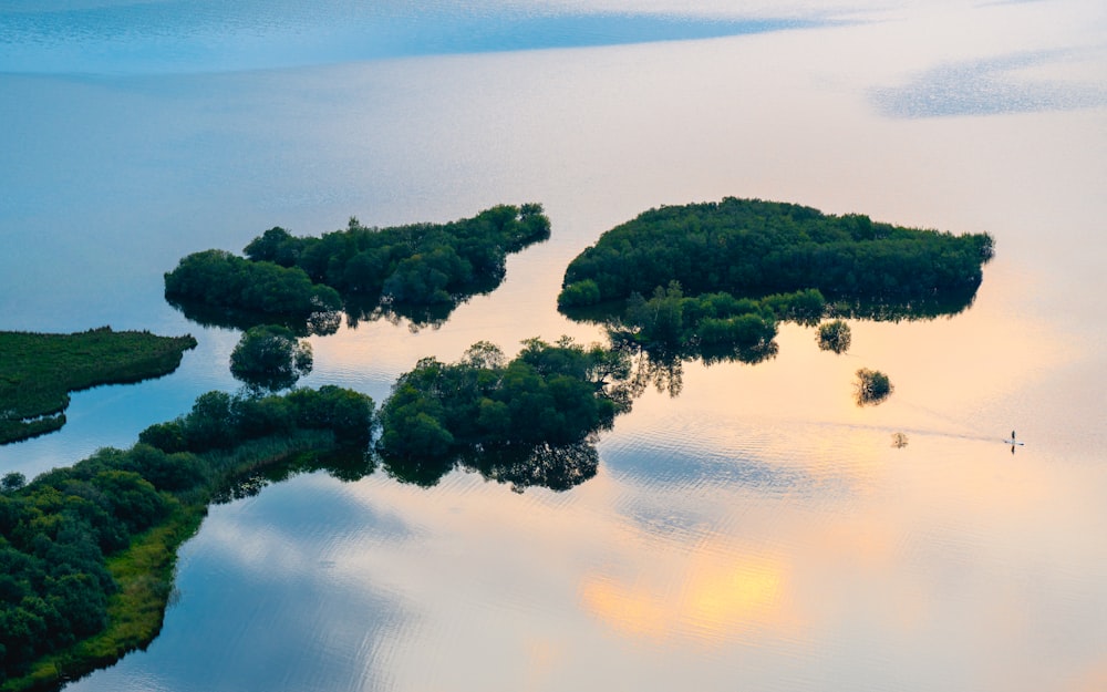 alberi verdi accanto al lago durante il giorno