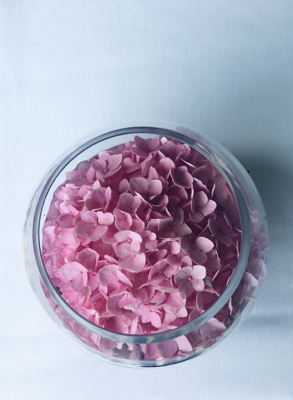 pink round candies in clear glass bowl