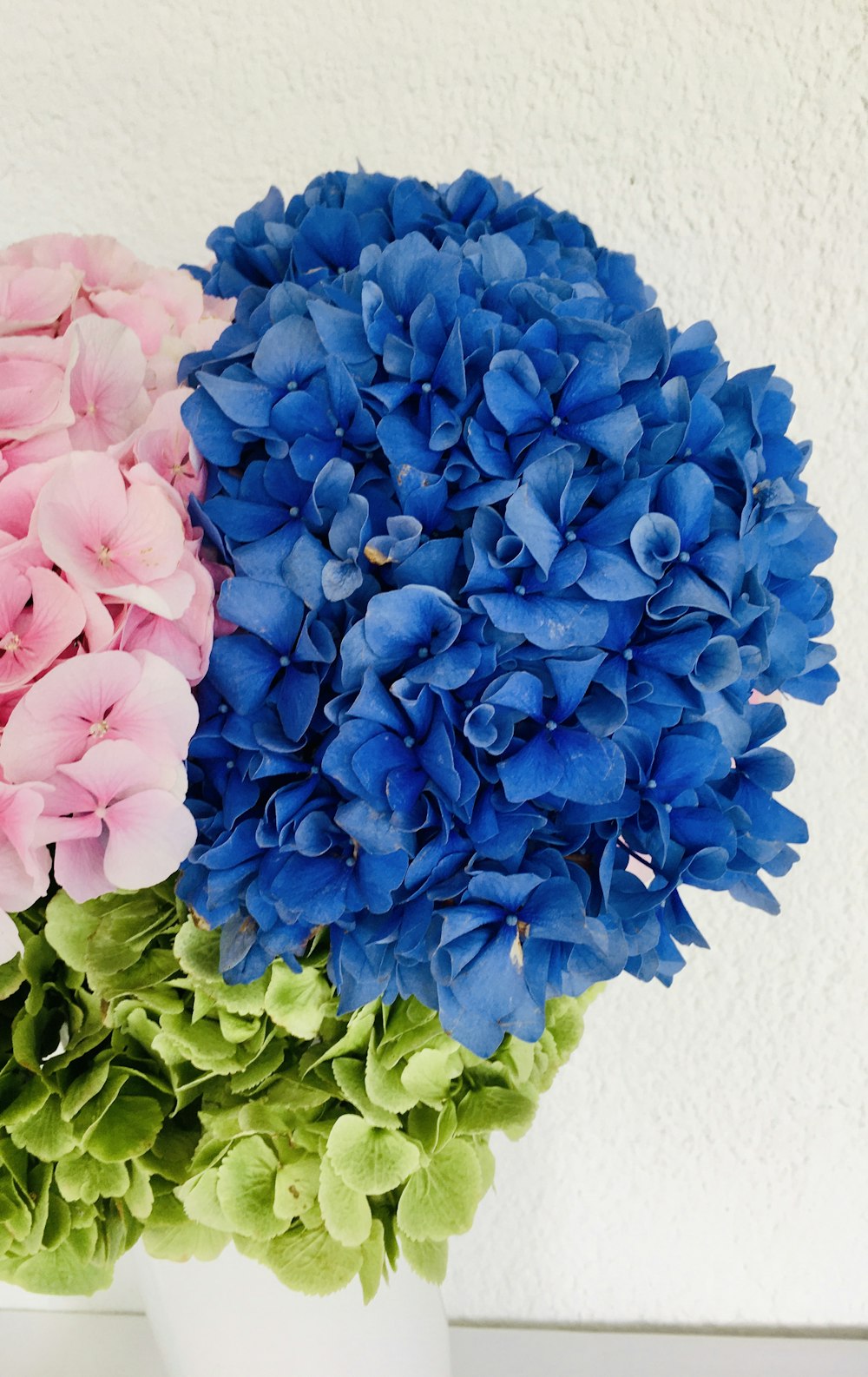 blue flower bouquet on white table