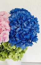 A vibrant arrangement of hydrangea flowers featuring clusters of blossoms in shades of blue, pink, and green against a white background.