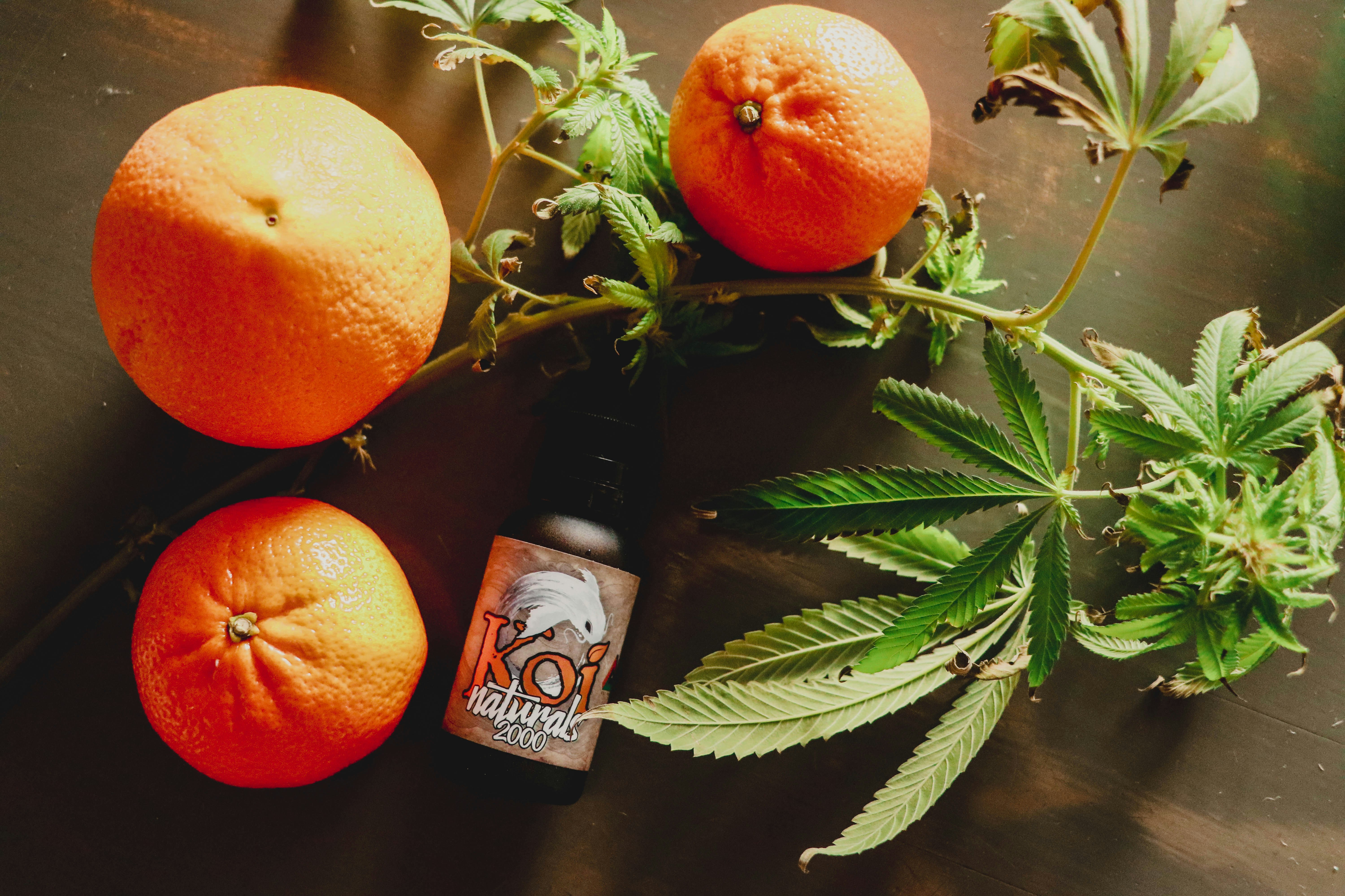 orange fruit beside green leaves