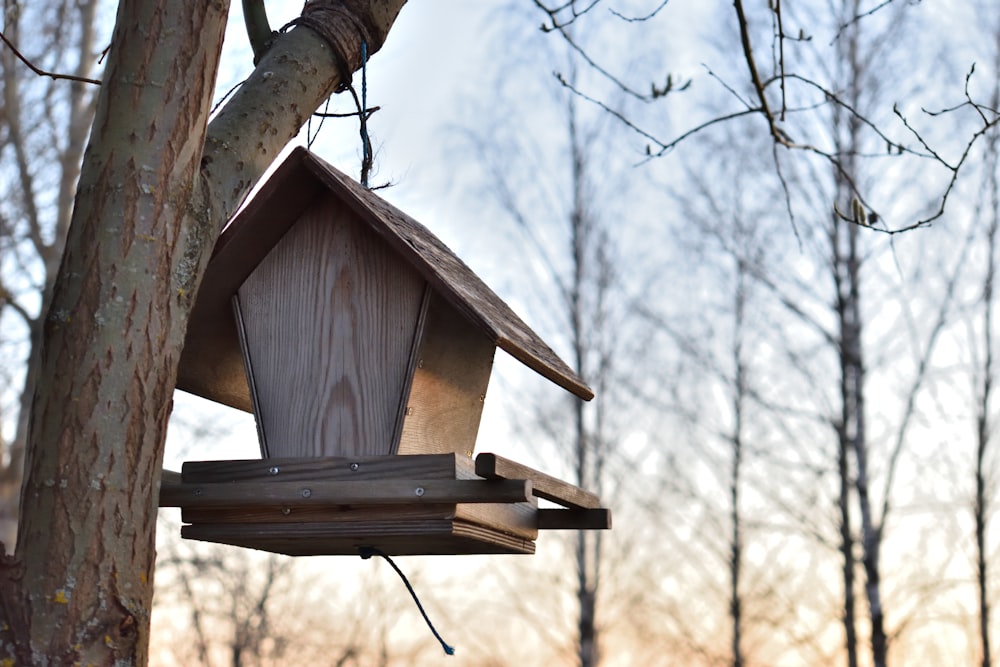 brown wooden bird house on tree branch during daytime