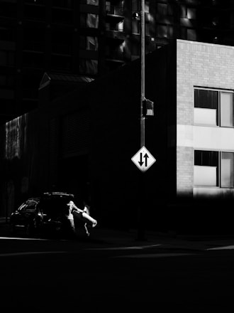 A black and white image of a person loading or unloading a large item from a car parked on a city street. The scene is dominated by shadows, with a bright light illuminating the person and the object they are handling. A building and a traffic sign are visible in the background, with the sign indicating traffic directions.