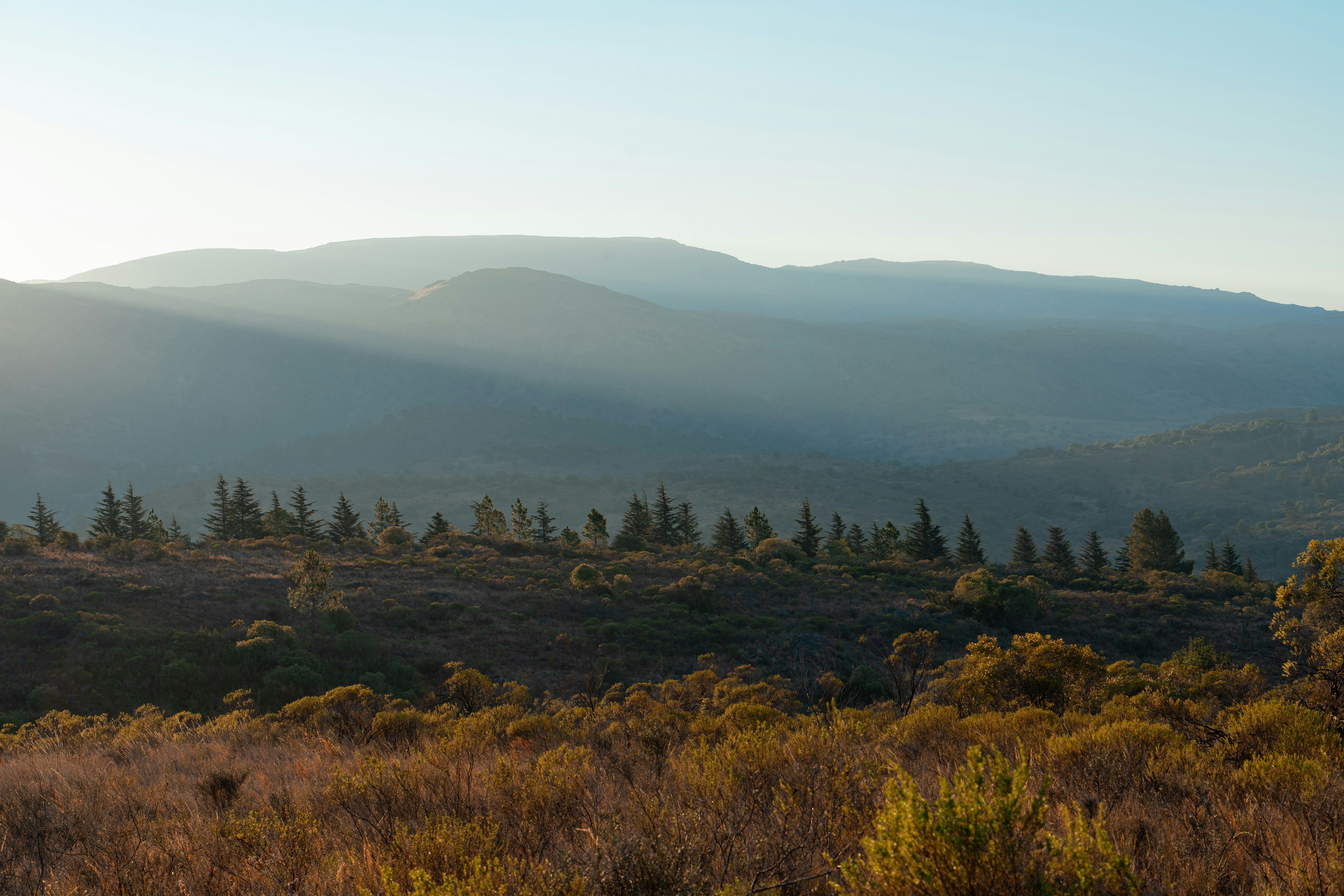 Photo by nicoruiz01981