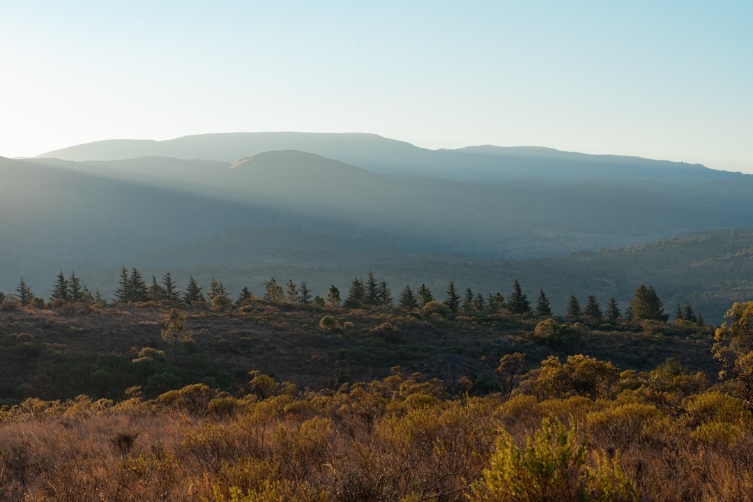 Travel Tips and Stories of San Clemente in Argentina