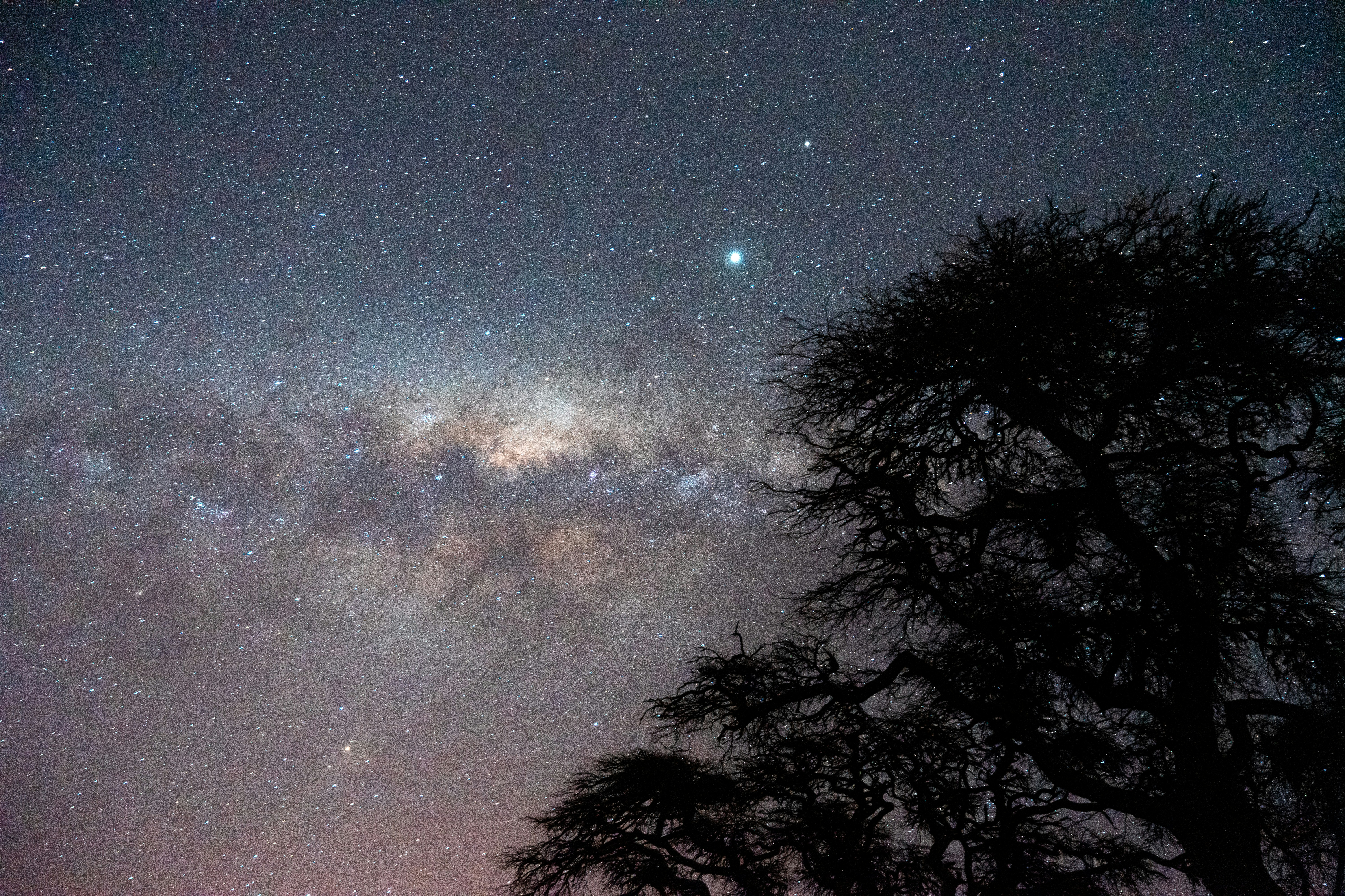 Photo by nicoruiz01981