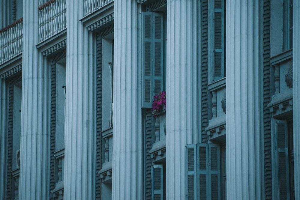 white and gray concrete building