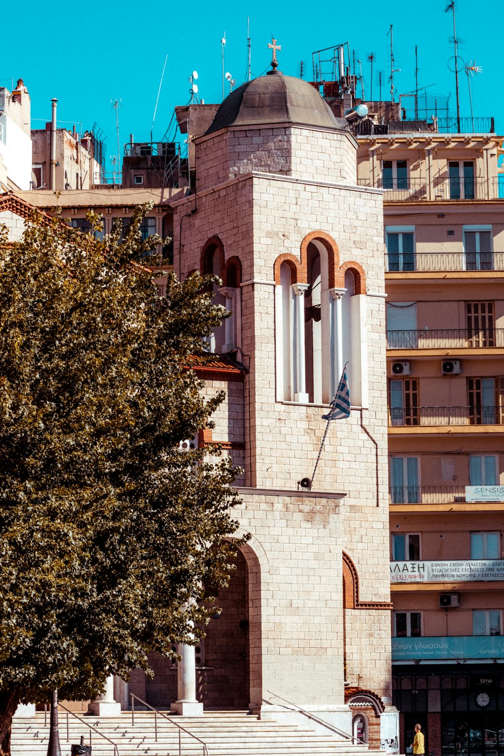 green tree beside brown concrete building