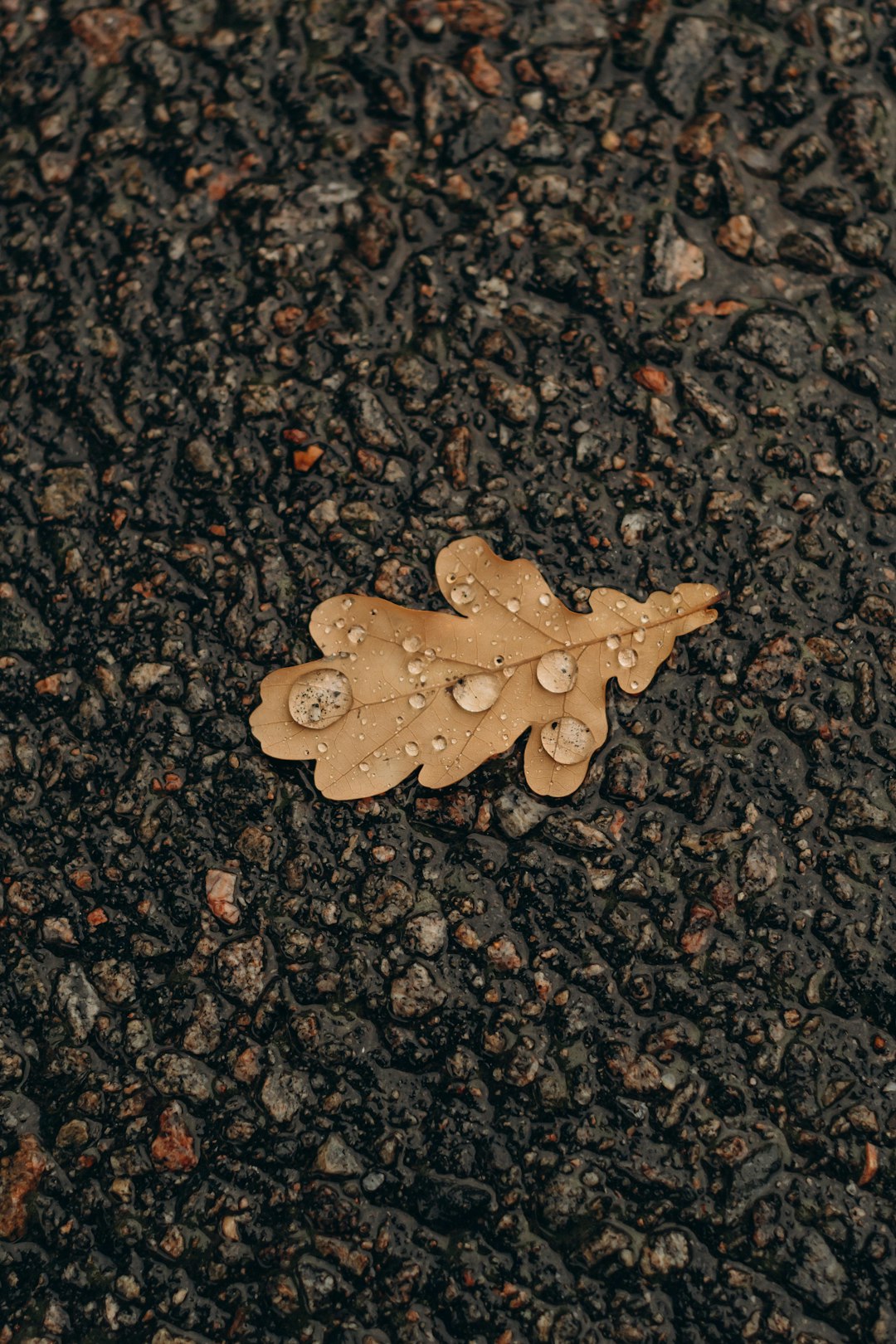 brown wooden cross on black and gray soil