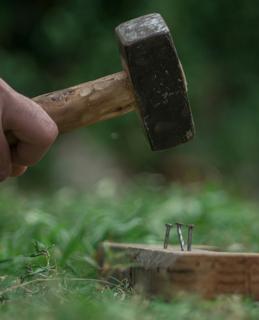 personne tenant un manche en bois brun