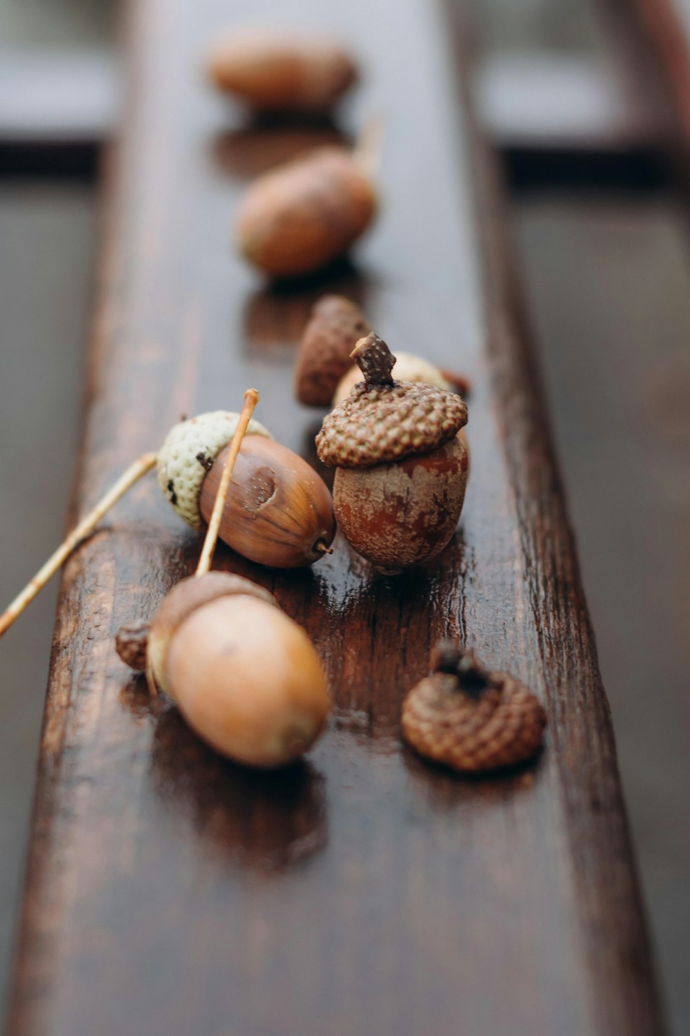 brown and white round fruit on brown wooden table