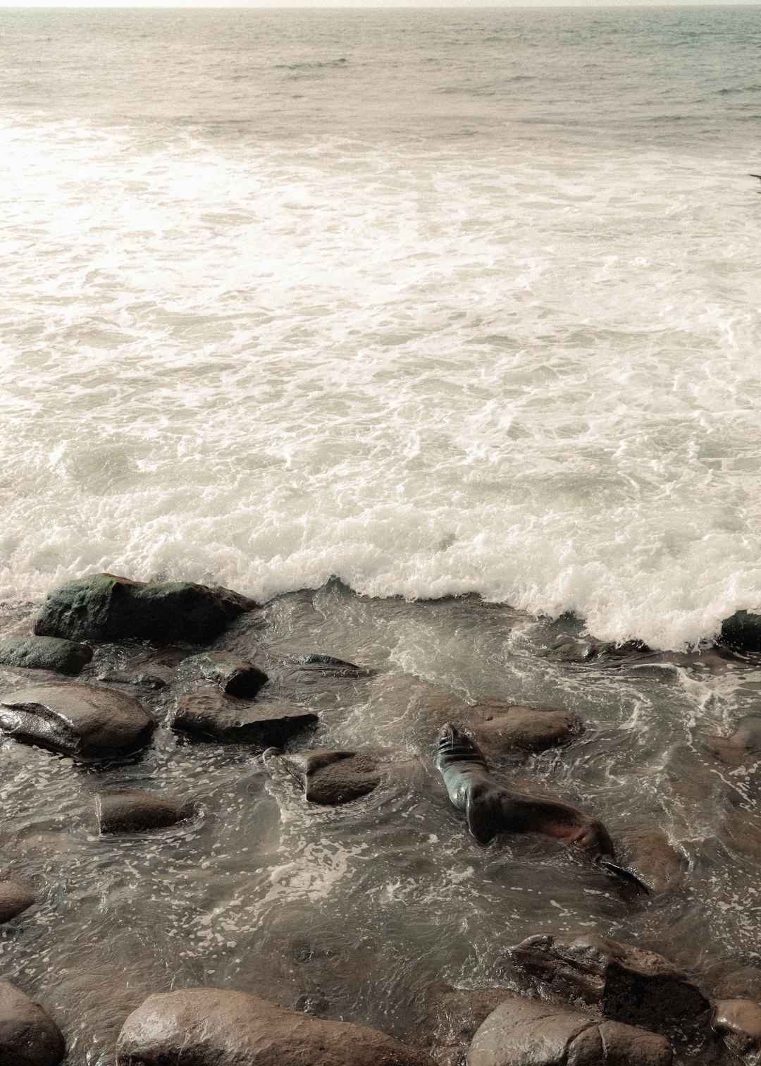 Shore photo spot La Jolla Cove Palomar Mountain