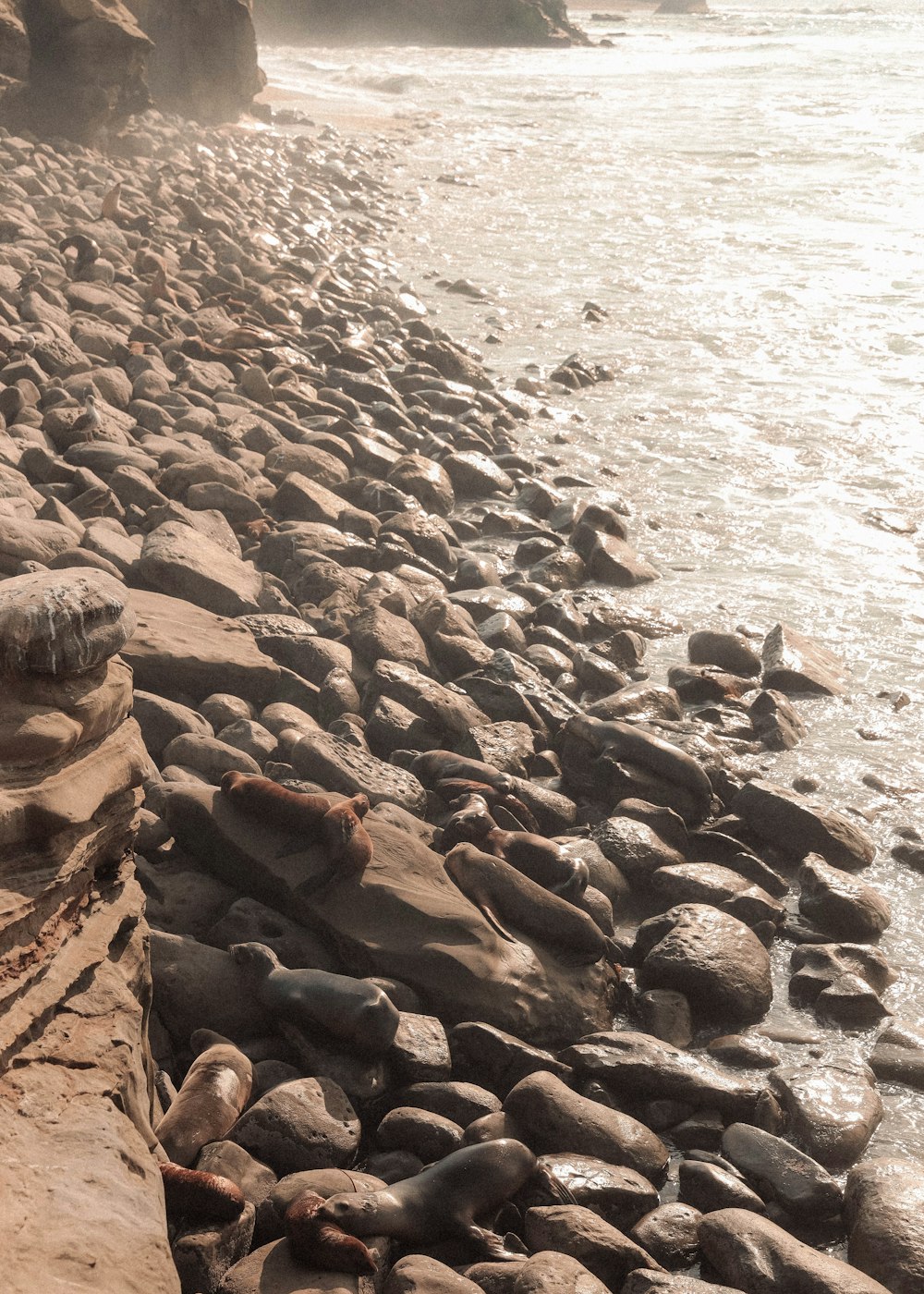 brown rocks on seashore during daytime
