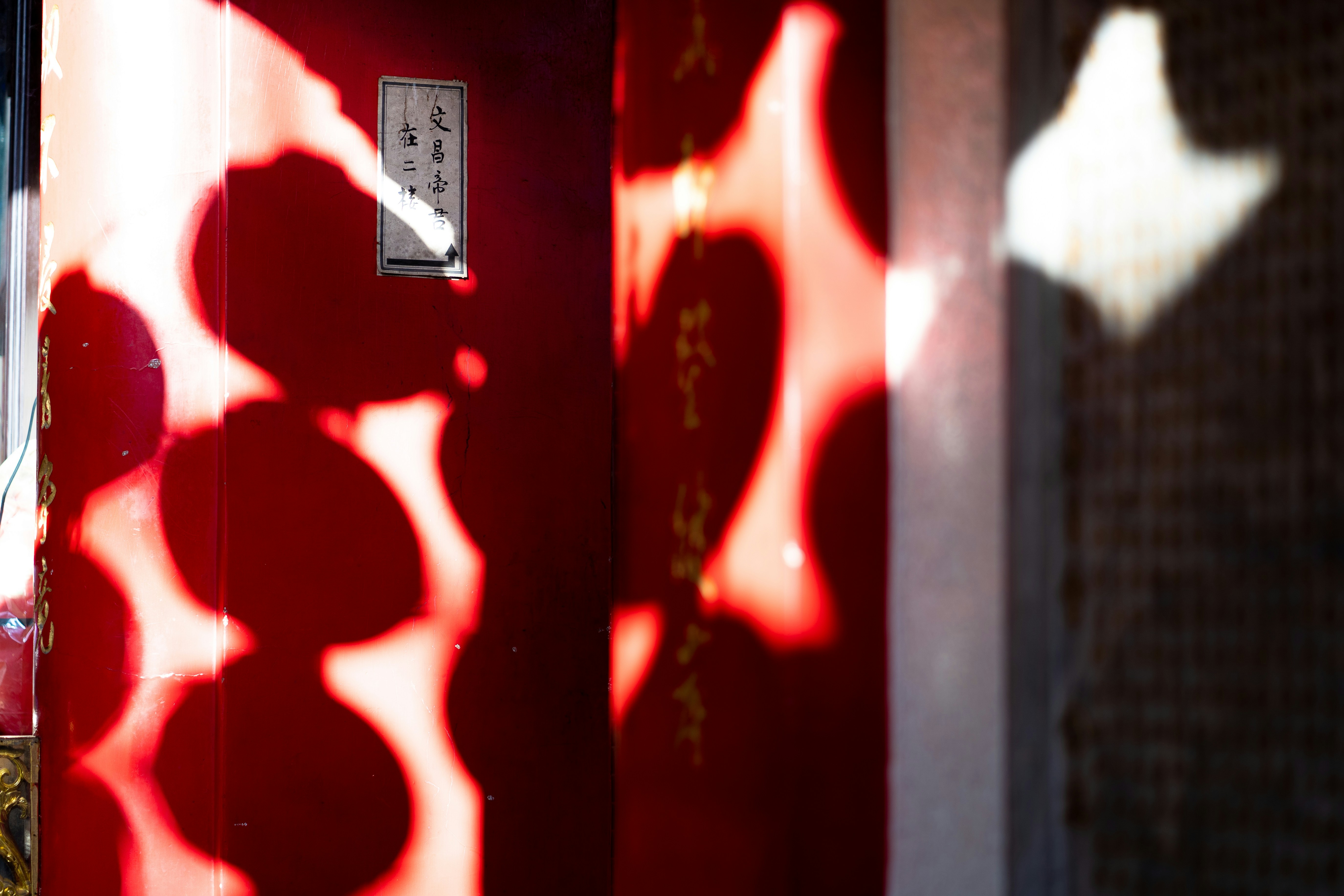 Photo by winstonchen