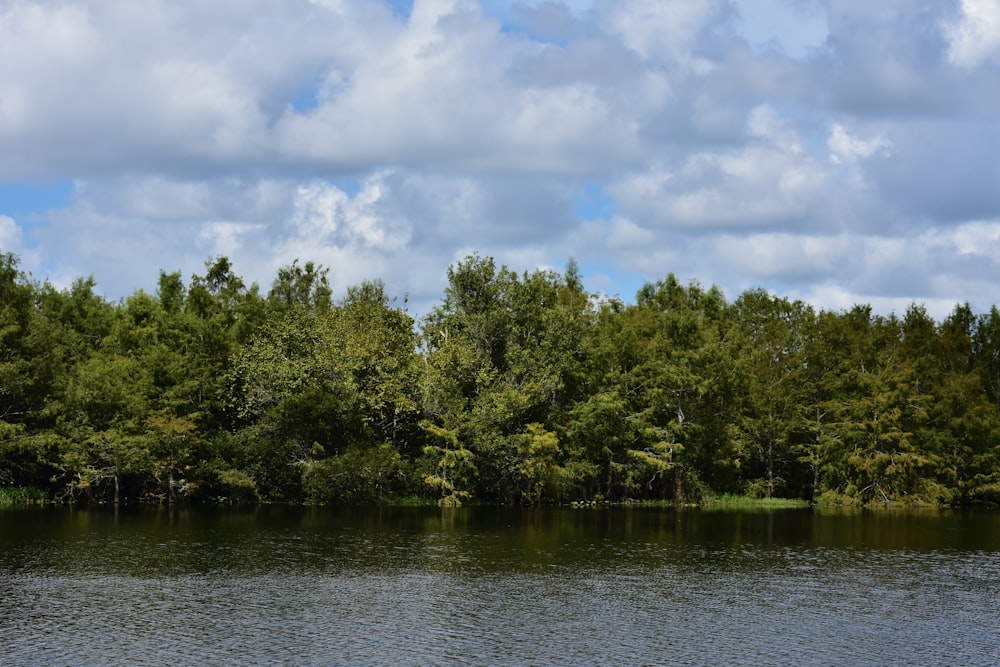 green trees beside body of water under cloudy sky during daytime