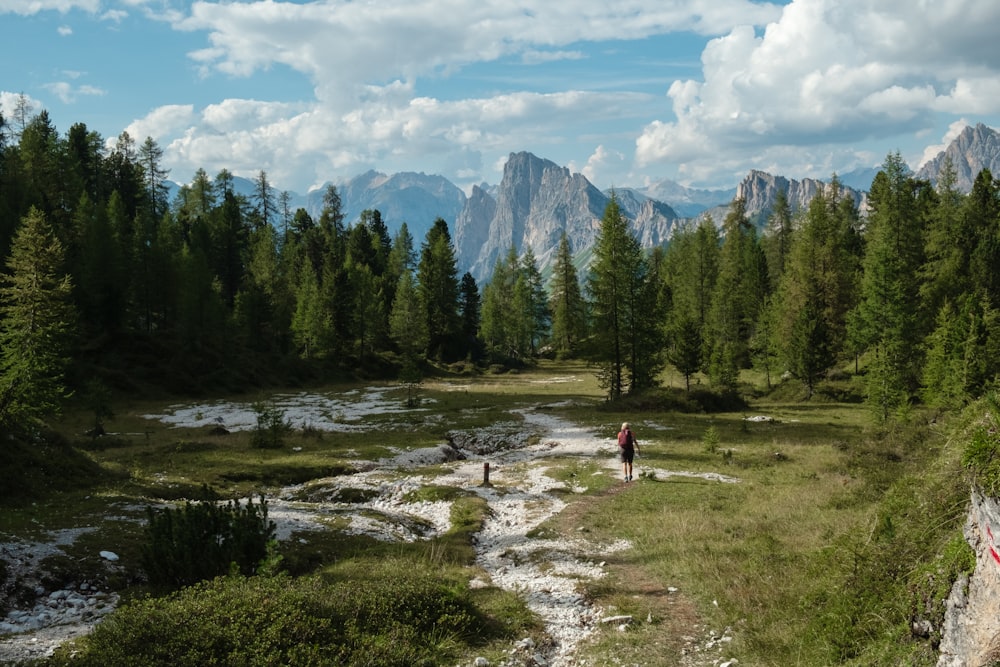 2 person standing on green grass field near green trees and mountains during daytime