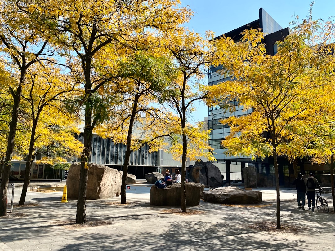 Town photo spot Ryerson University The Annex