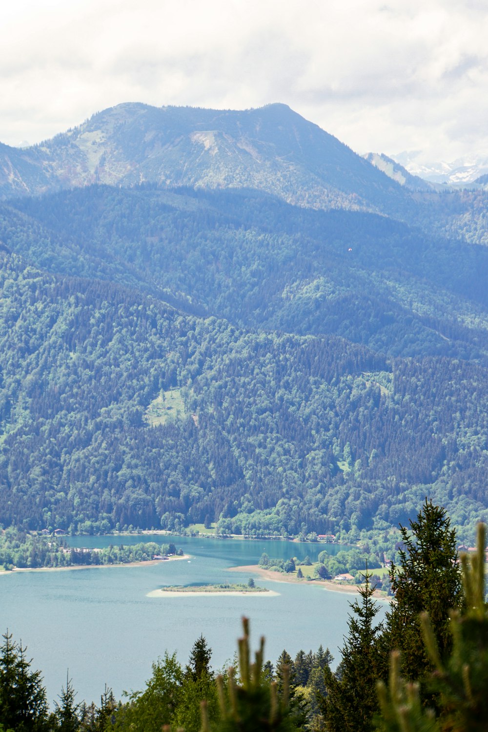 alberi verdi vicino allo specchio d'acqua durante il giorno