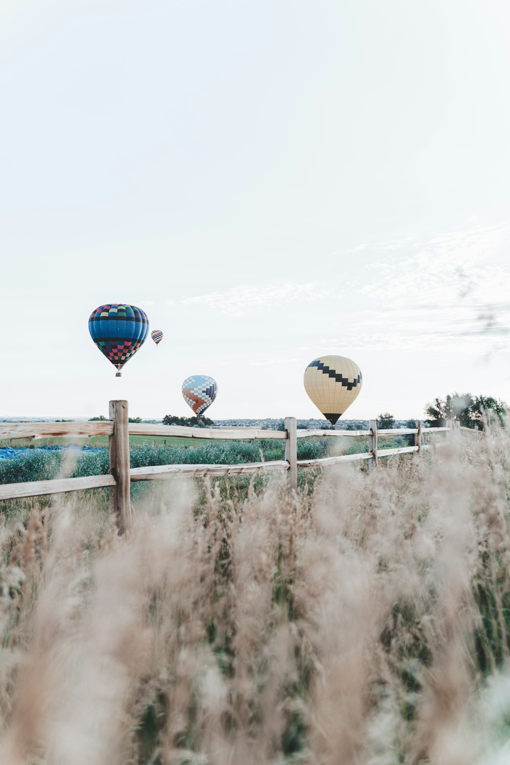 Globos aerostáticos en el cielo durante el día