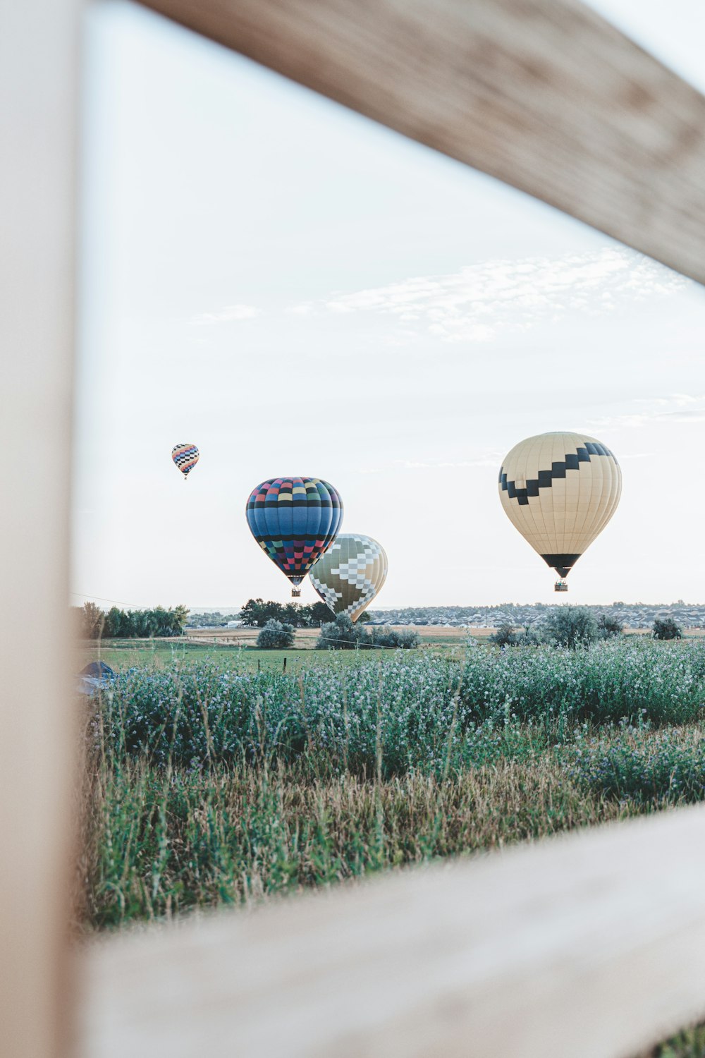 hot air balloons flying over green grass field during daytime