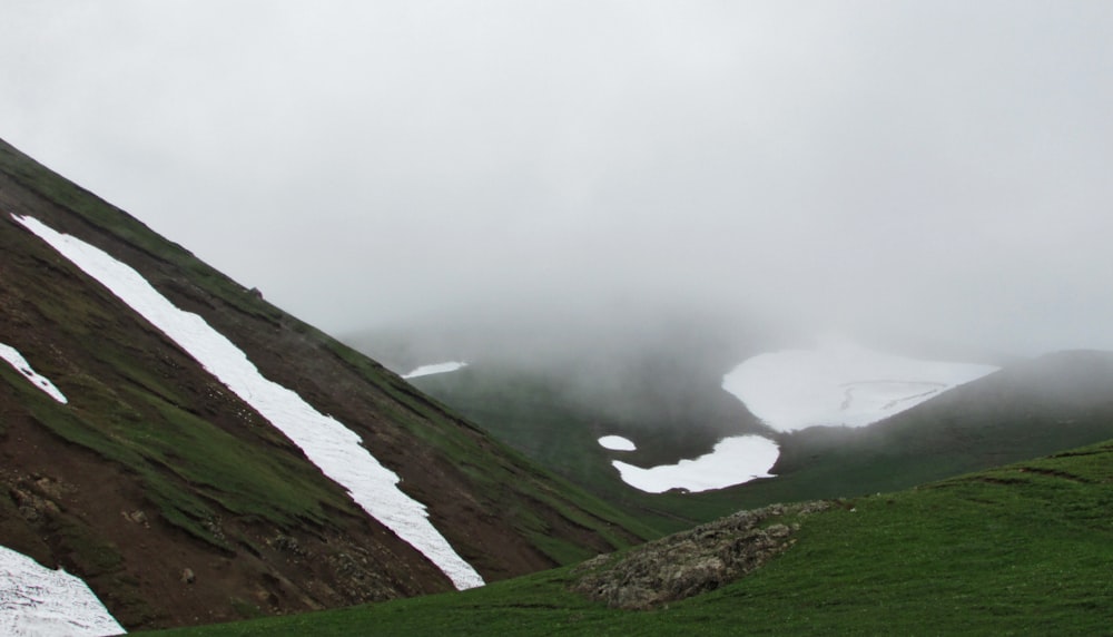 green grass field with fog