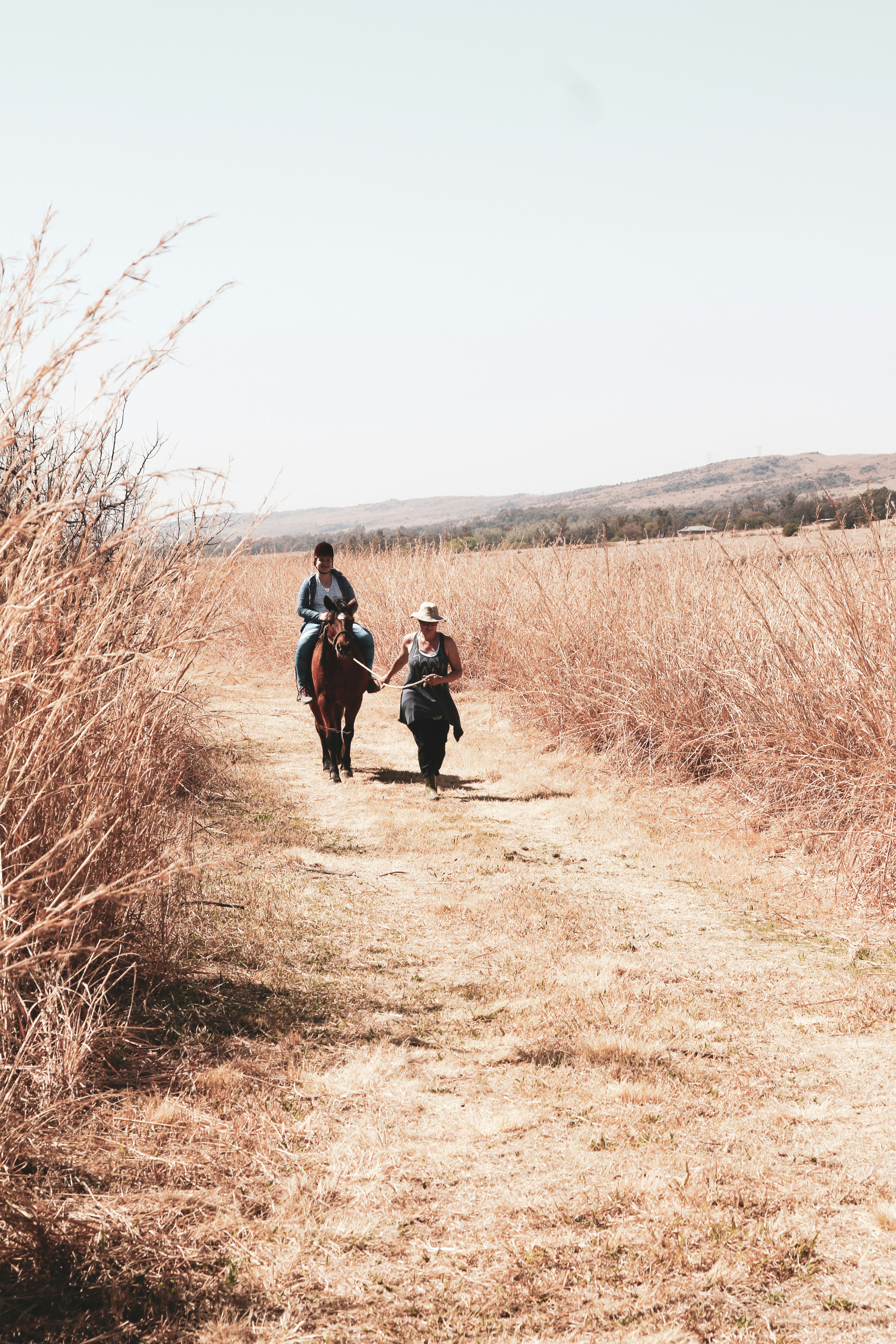 Photo by glencarrie