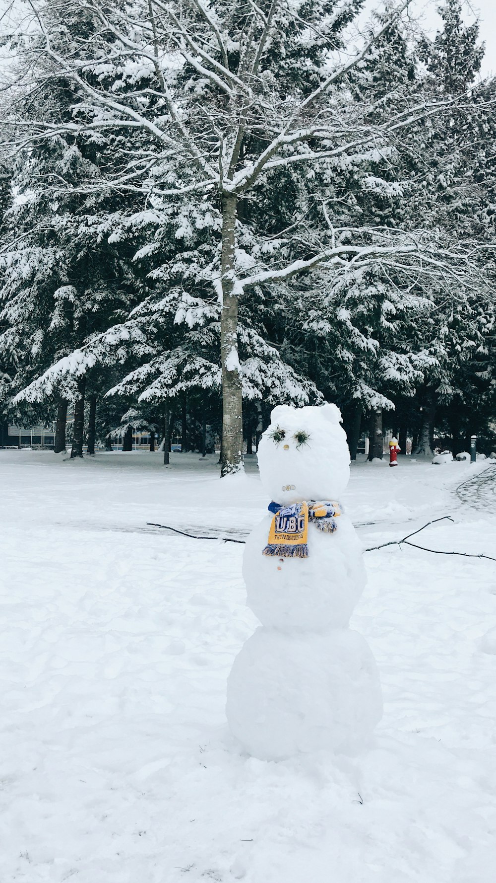 snowman on snow covered ground during daytime