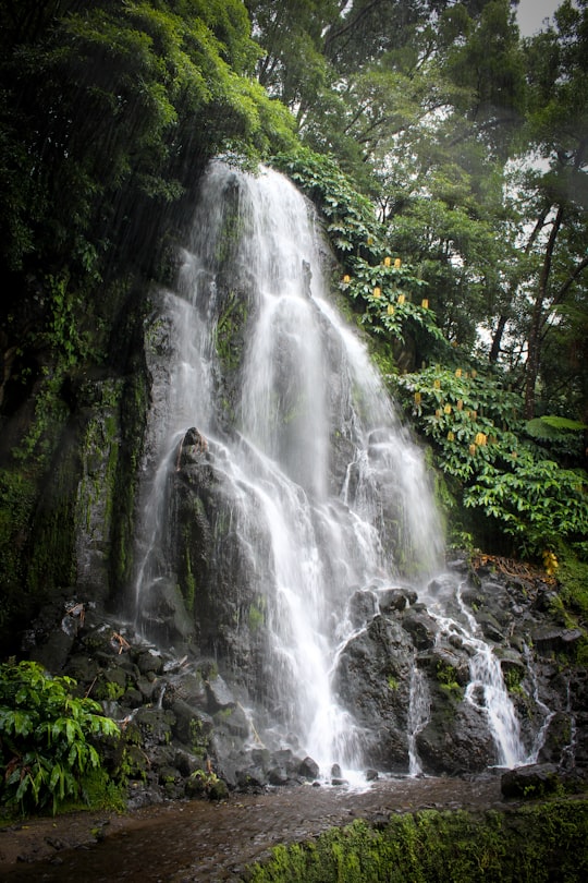 water falls in the middle of the forest in Azores Portugal