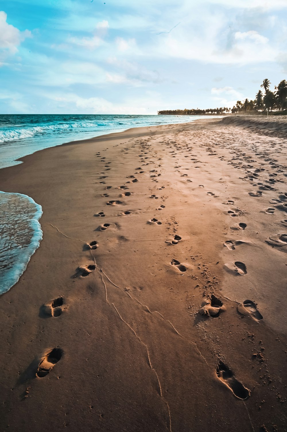 brown sand beach during daytime