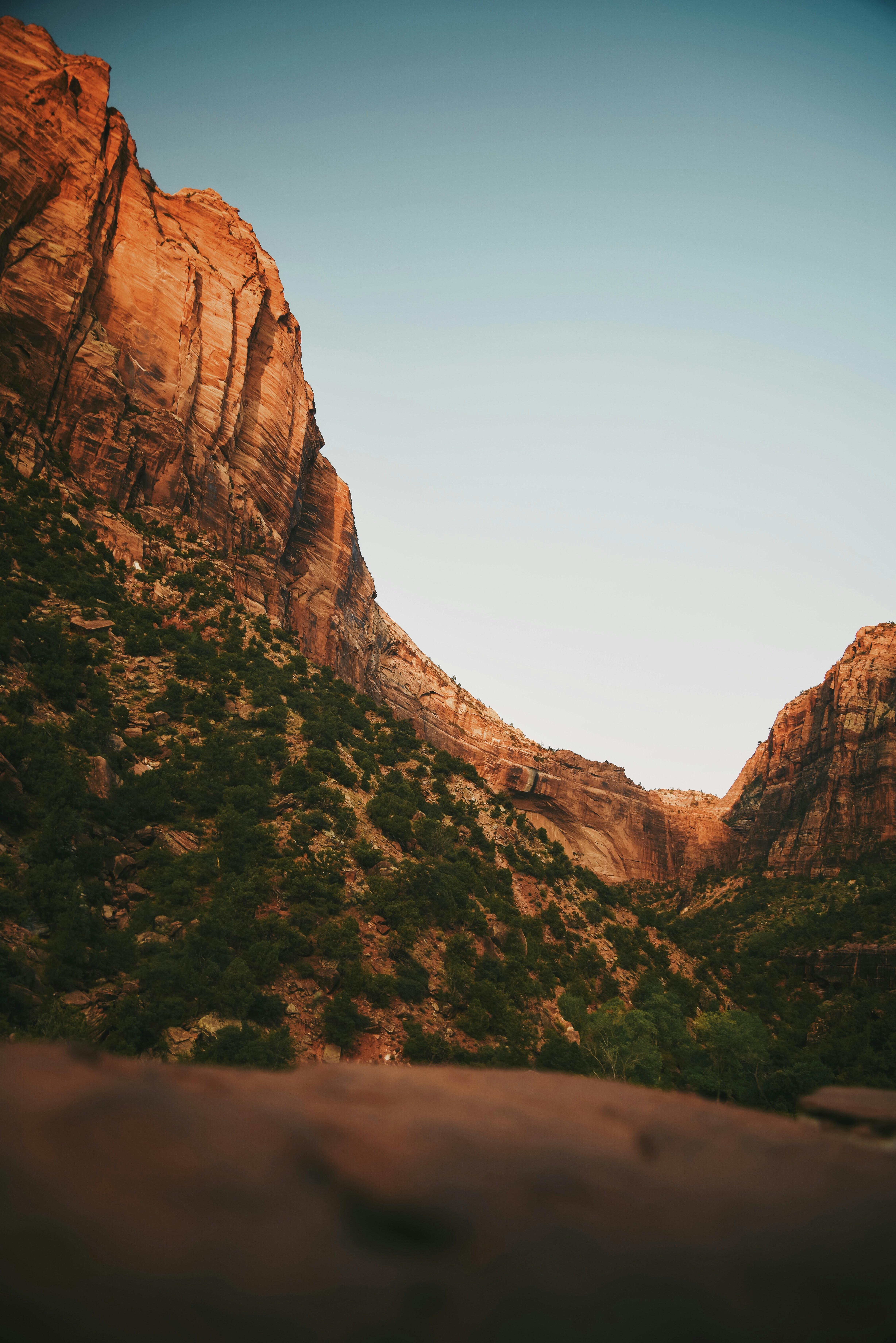 Photo by mary_schultz