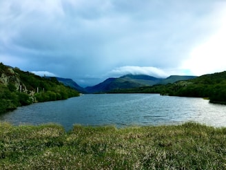 A serene landscape featuring a quiet lake surrounded by lush greenery and soft morning light.