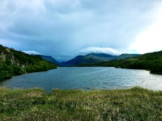 A serene landscape capturing soft morning light over a tranquil lake.